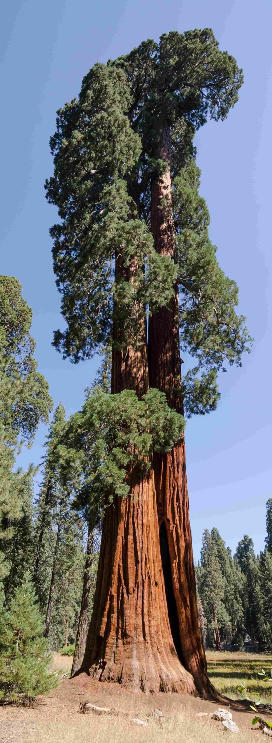 sequoia national park entry points